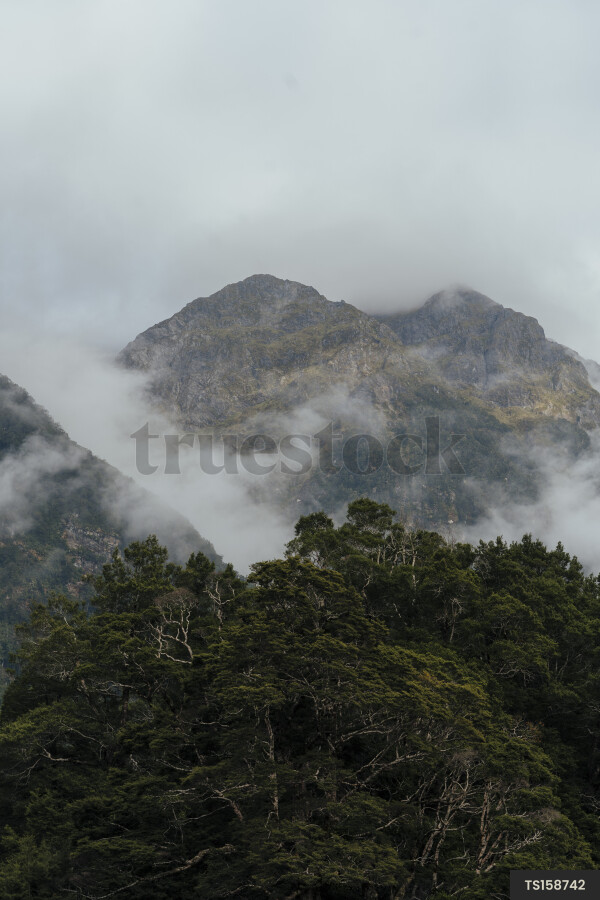 Fiordland National Park