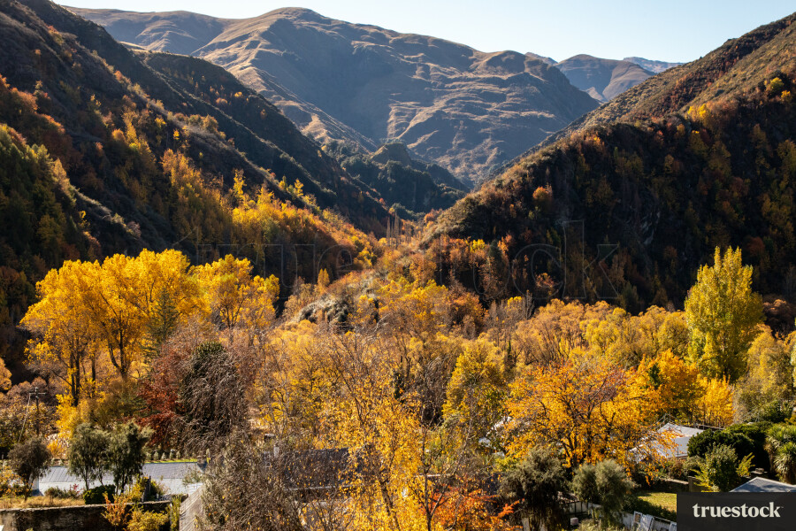 Arrowtown in Autumn