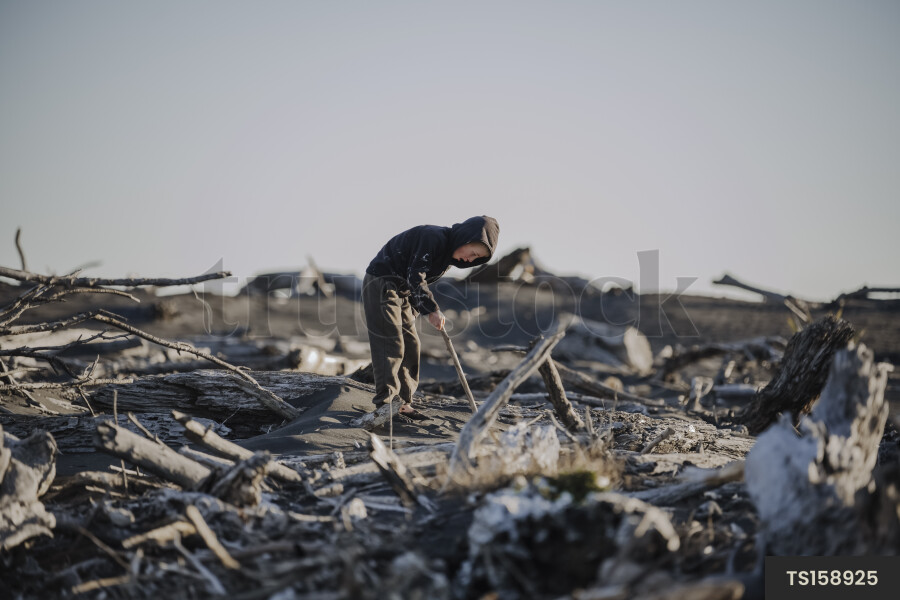 Boy and driftwood on beach
