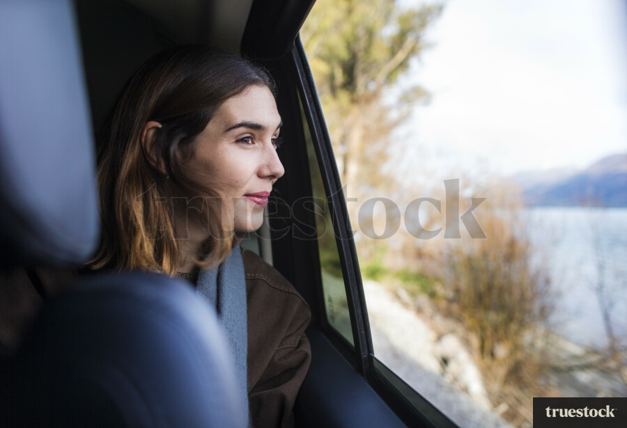 Looking Out The Window