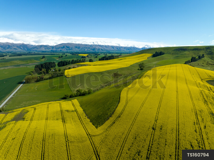 Crop Landscape