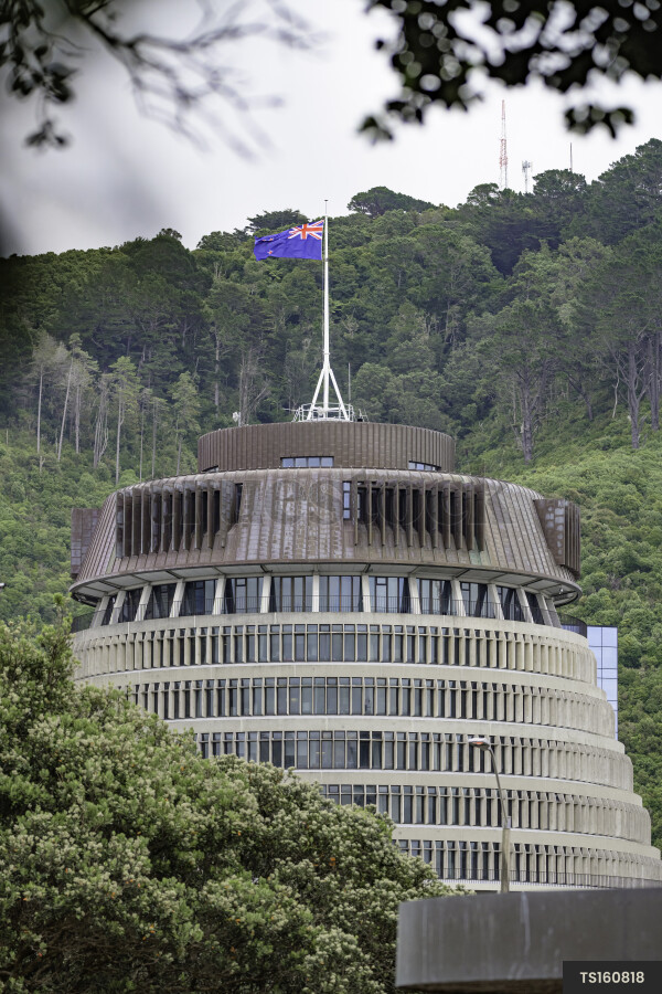 The Beehive with trees in Wellington