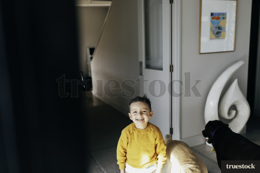 Young boy at home with dogs