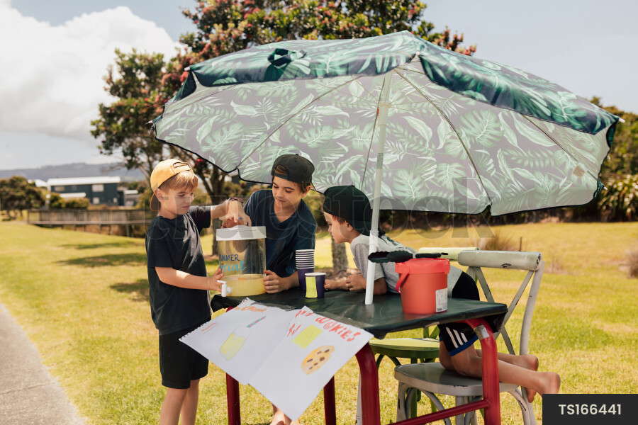 Young Boys Running Lemonade Stand