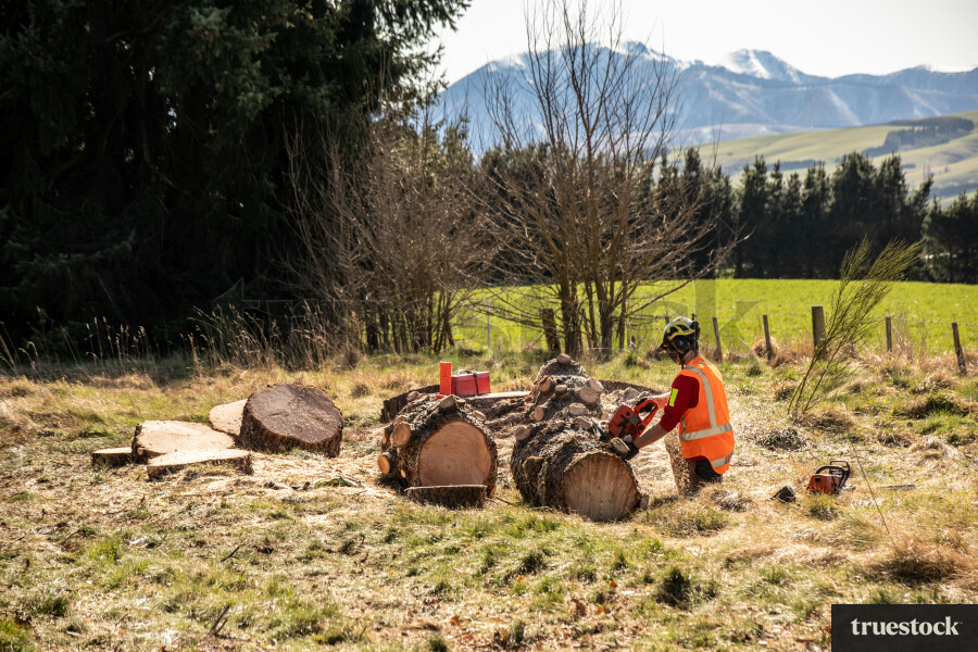 Worker Cutting Log