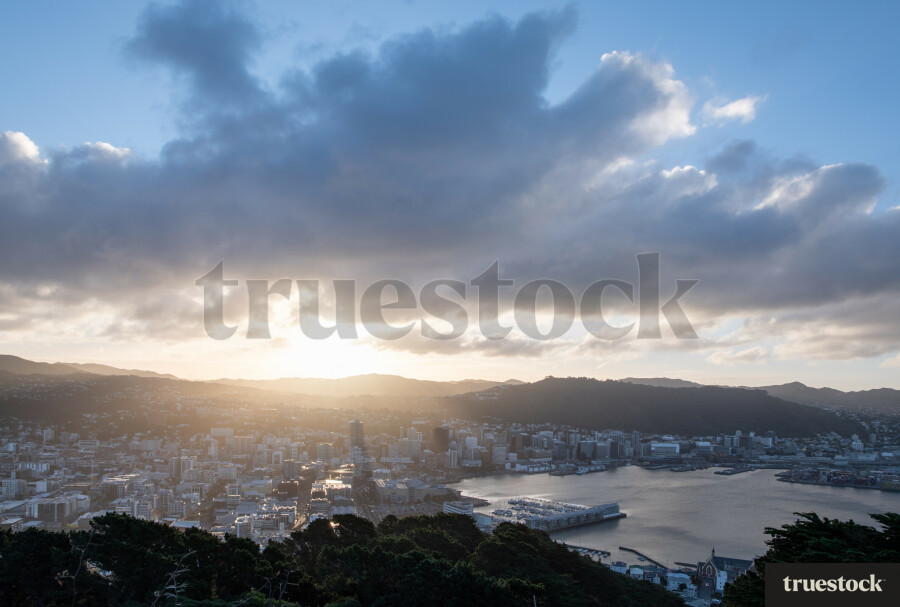 Aerial Wellington Harbour view