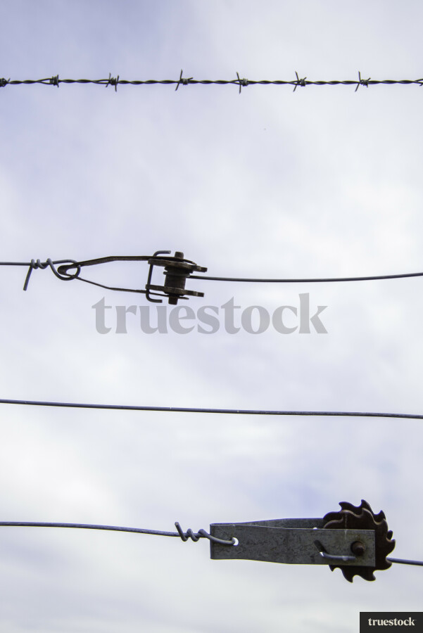 Close Up of Fence Wiring