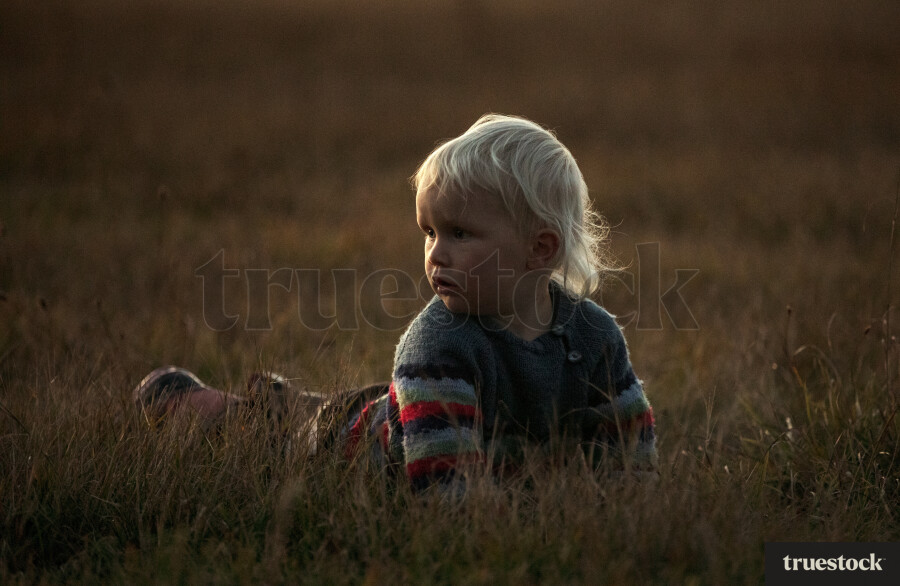 Kids playing on the field on a misty morning with fog