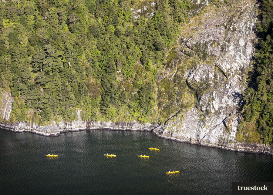 Milford Sound Kayaking