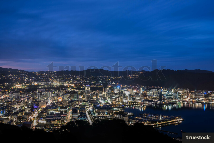 Wellington waterfront from the mountain top at night
