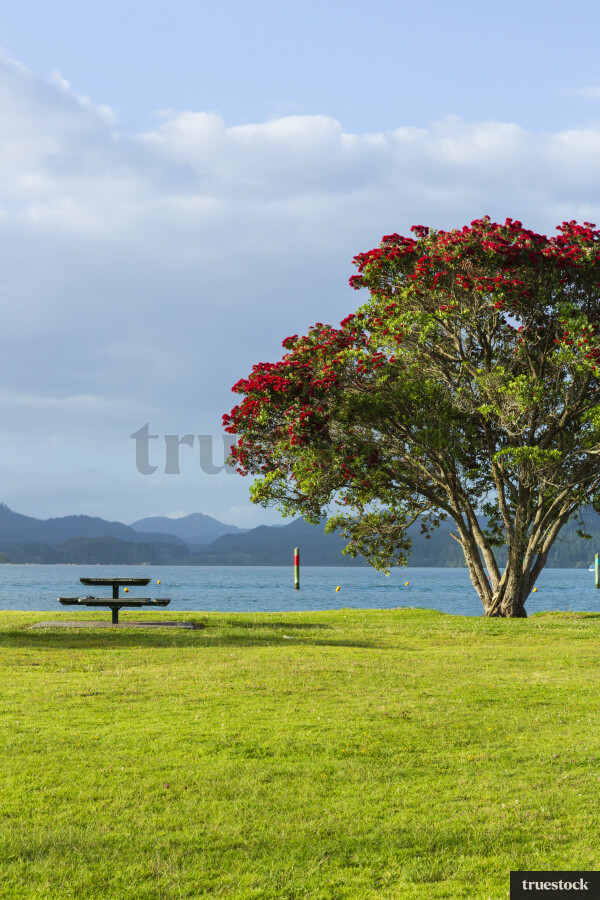 Picnic Table by Beach