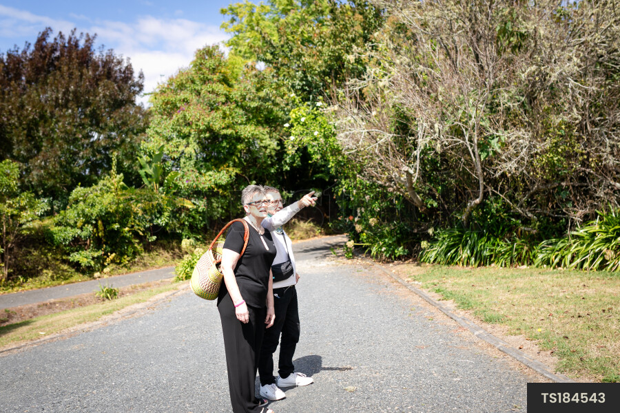 Health carer walking with patient
