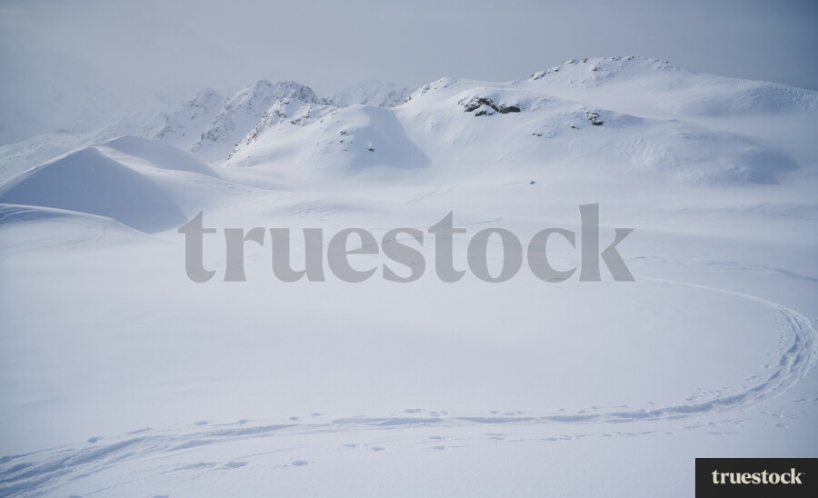 Mount Cook Snowfield