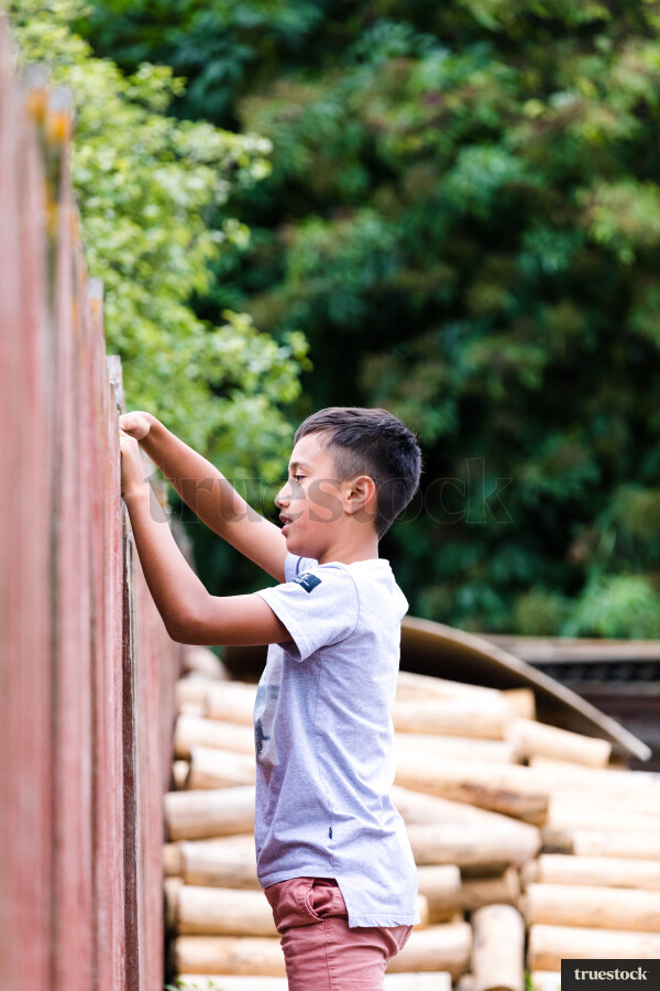 Young Boy Climbing on Fence