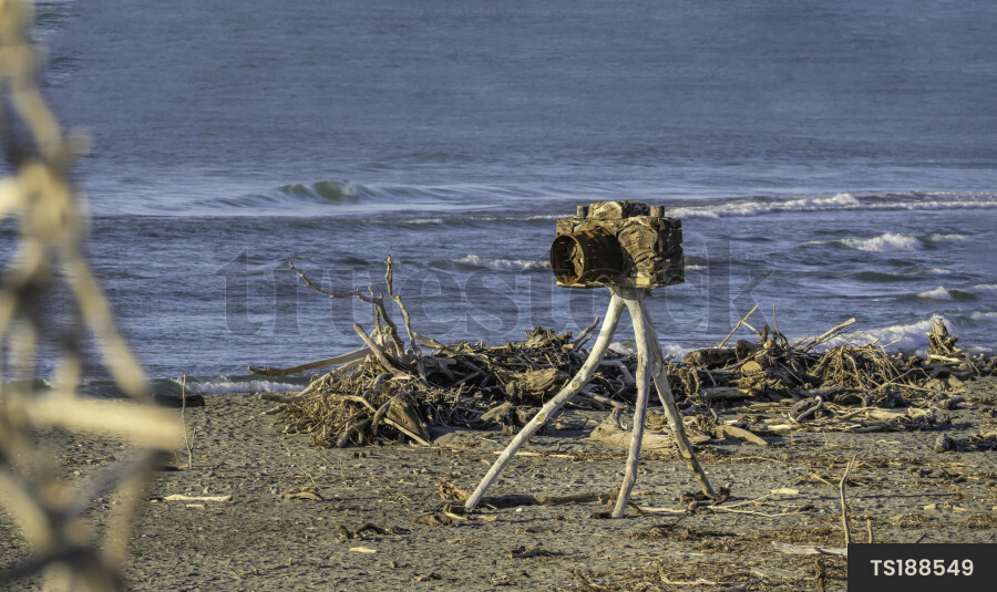 Camera sculpture on beach