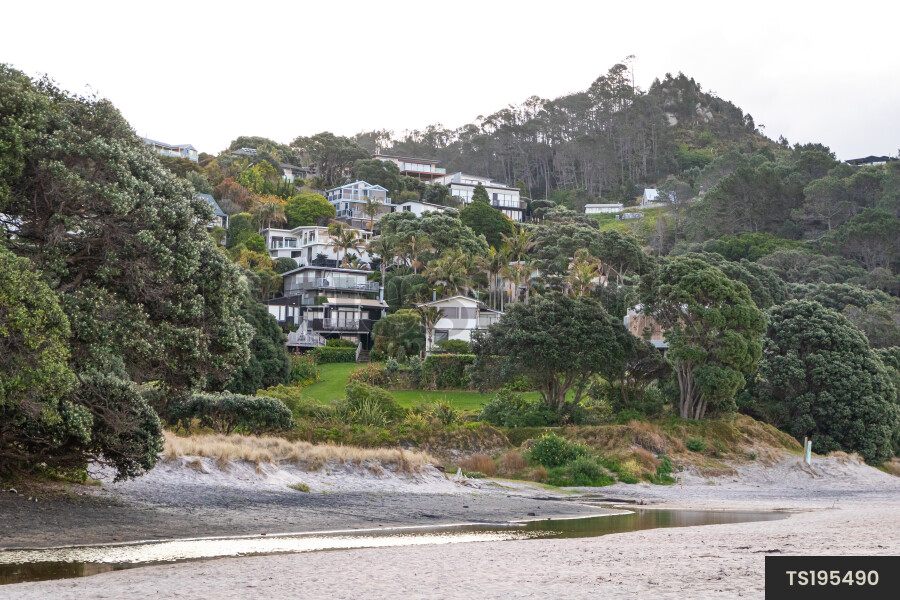 Baches on hill by beach in Coromandel