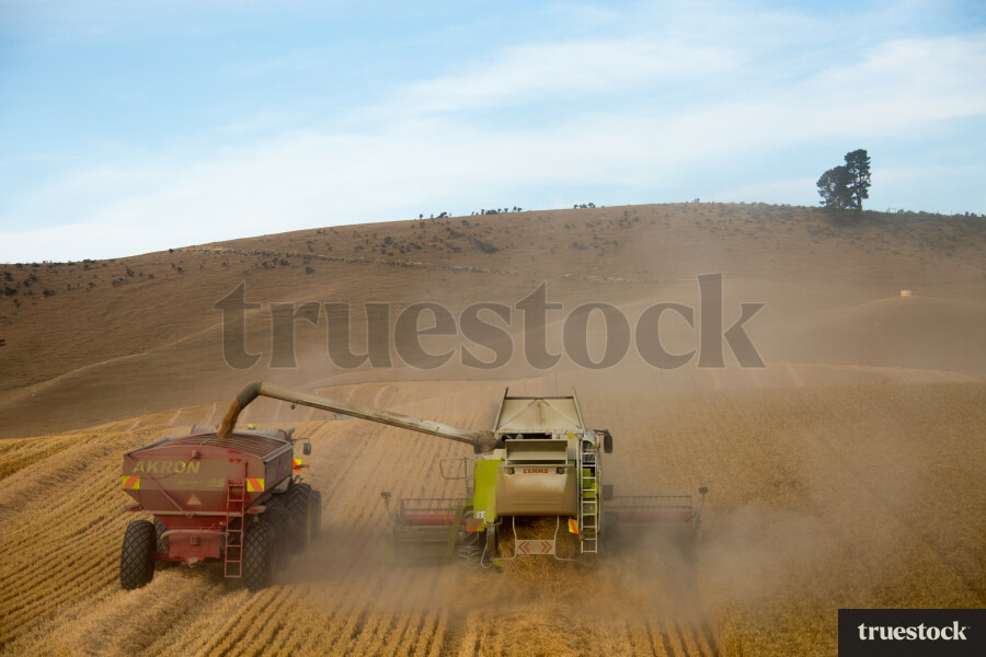 Hay making in the countryside
