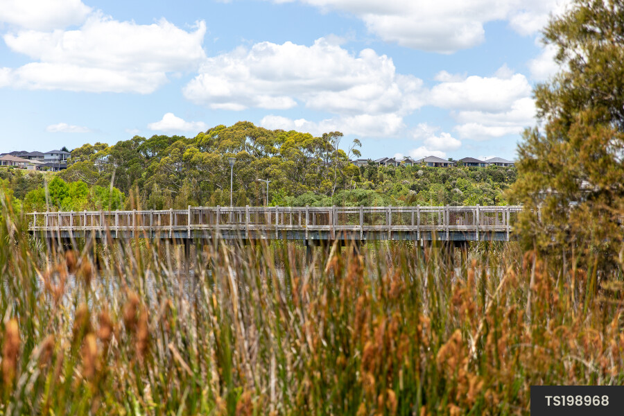 Tauranga Suburban Landscapes