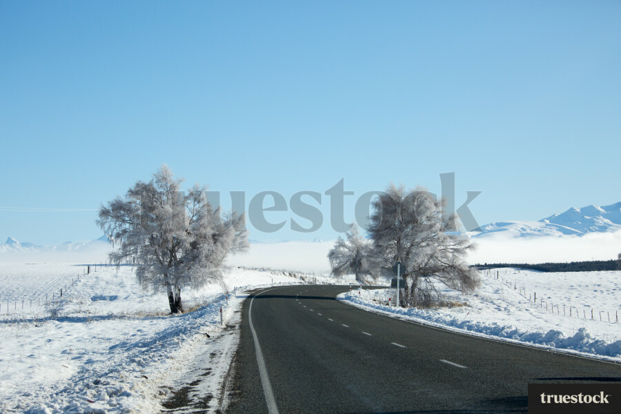 Snow covered road and trees in winter