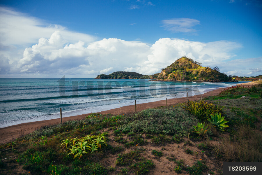 Beach at Pataua North