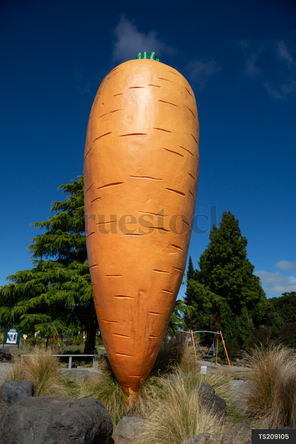 Ohakune Carrot