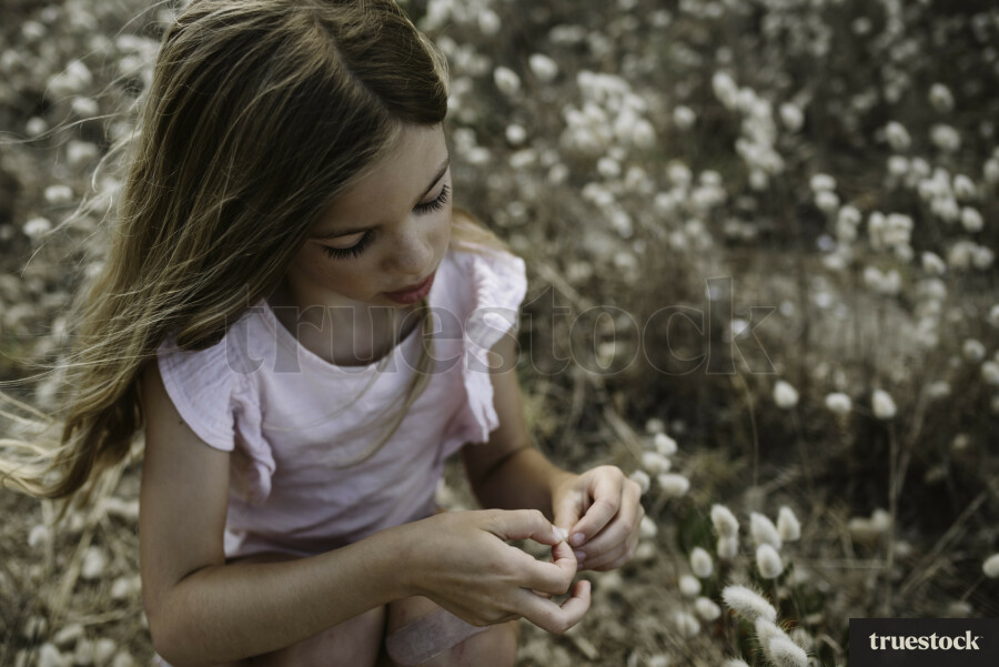 Picking Bunny Tails at the Beach
