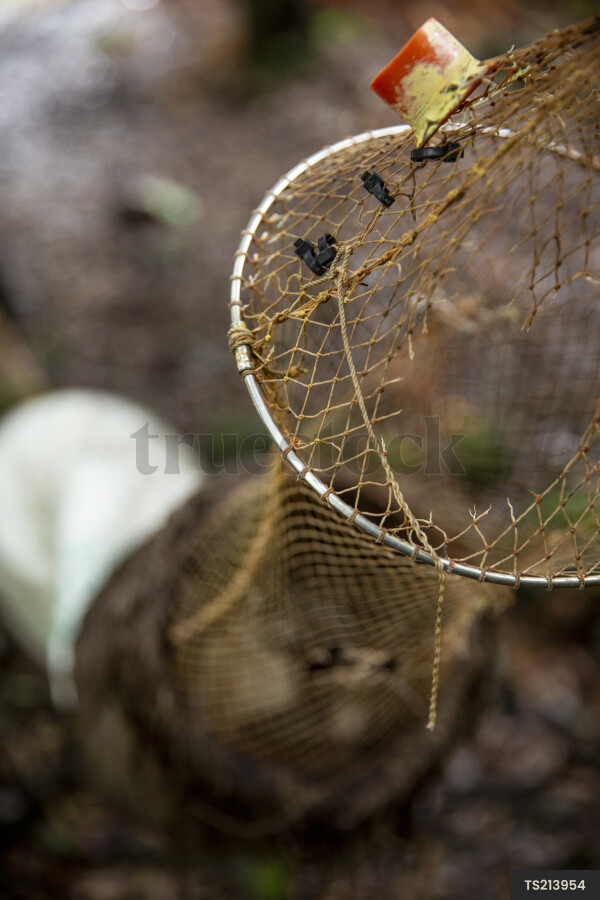 Close-up view of traditional eel trap