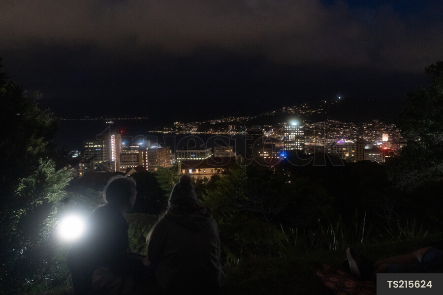 People sitting on hill overlooking city by sea at night