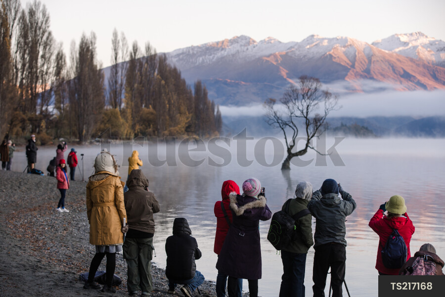 Group of tourists taking photos of That Wanaka Tree