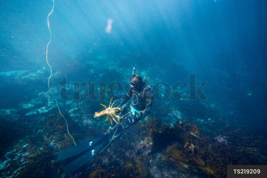 Man fishing for crayfish in sea
