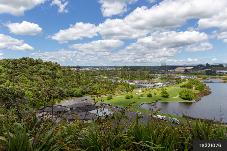 Tauranga Suburban Landscapes