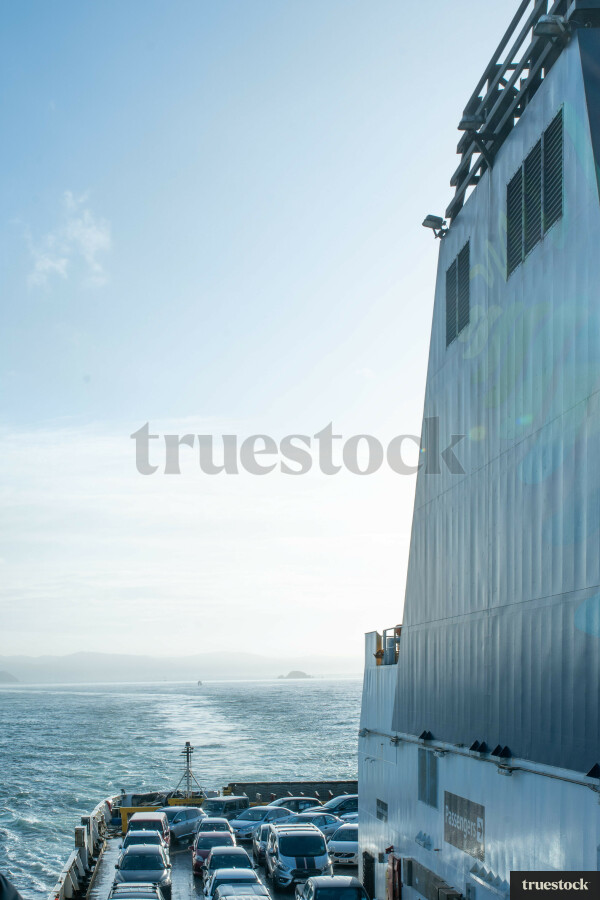 Cook Straight Landscape and Ocean
