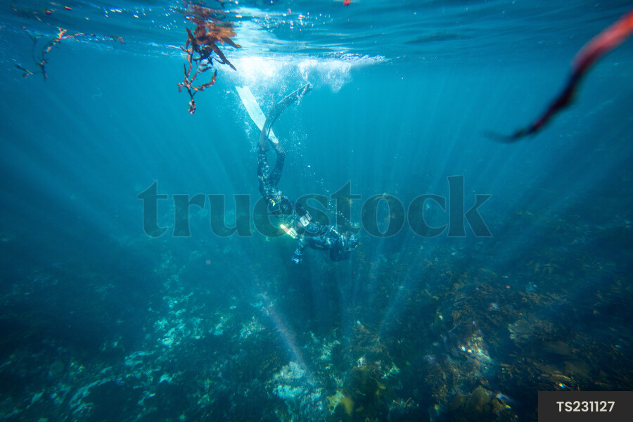 Snorkeler diving underwater in sea