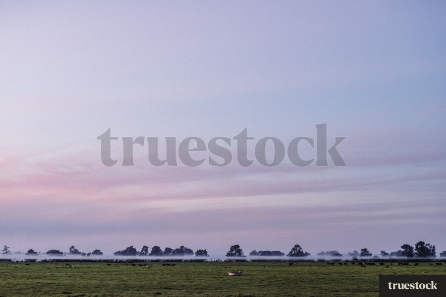 Sunset over farmland