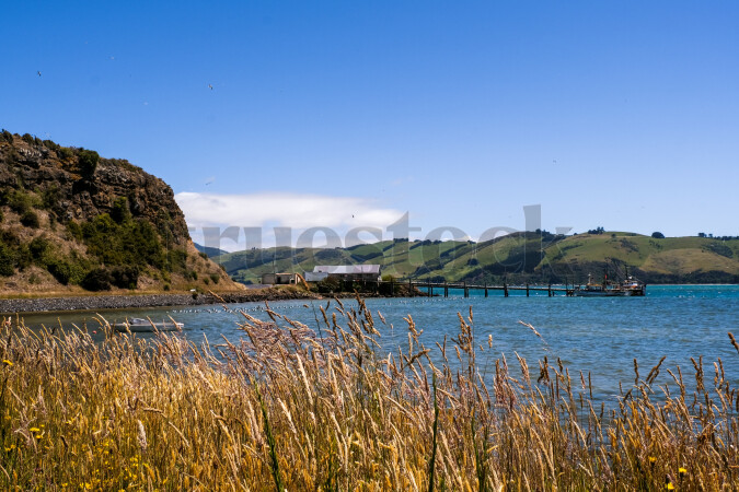 Coastal mountains