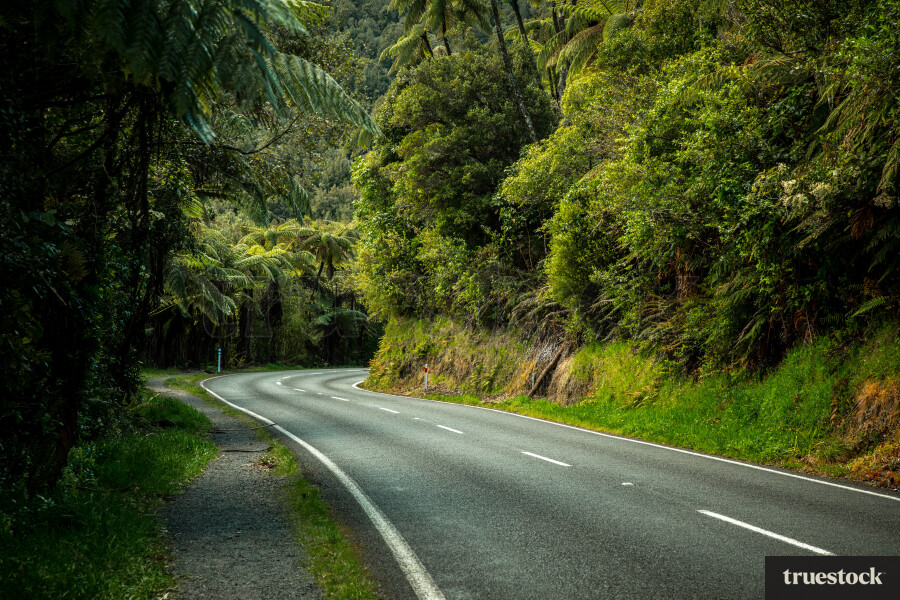 Winding road through bush