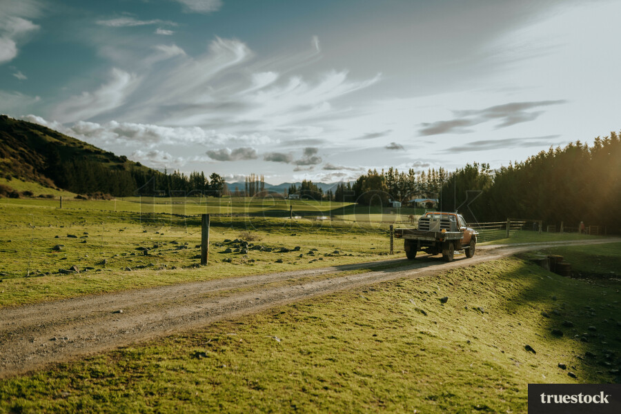 Ute Driving on Farm Road