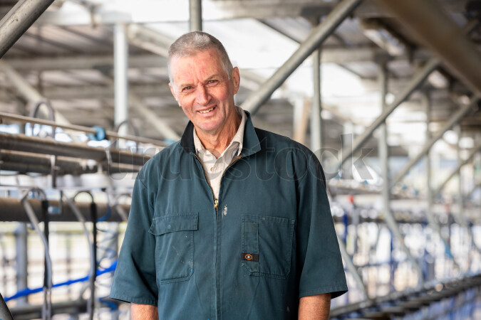 Dairy farmer in milking shed