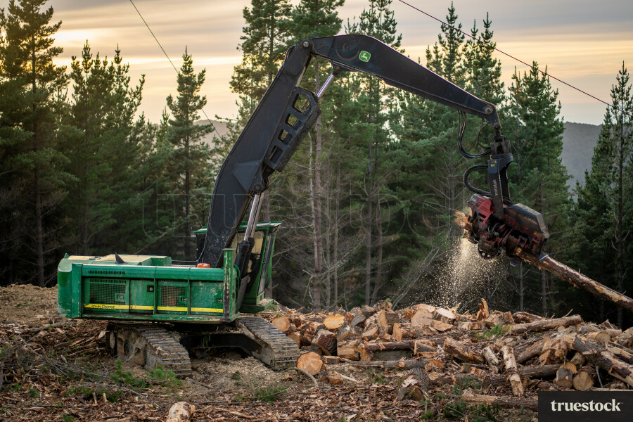 Forestry Excavator