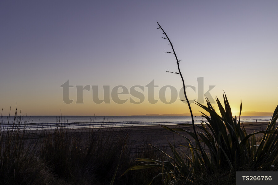 Ohope Beach Sunset