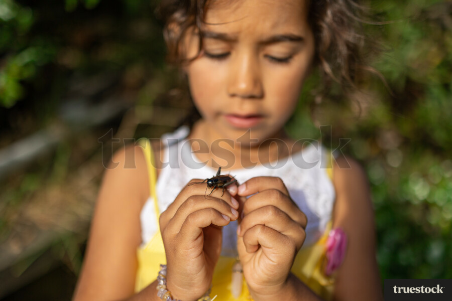 Girl Holding a Bug