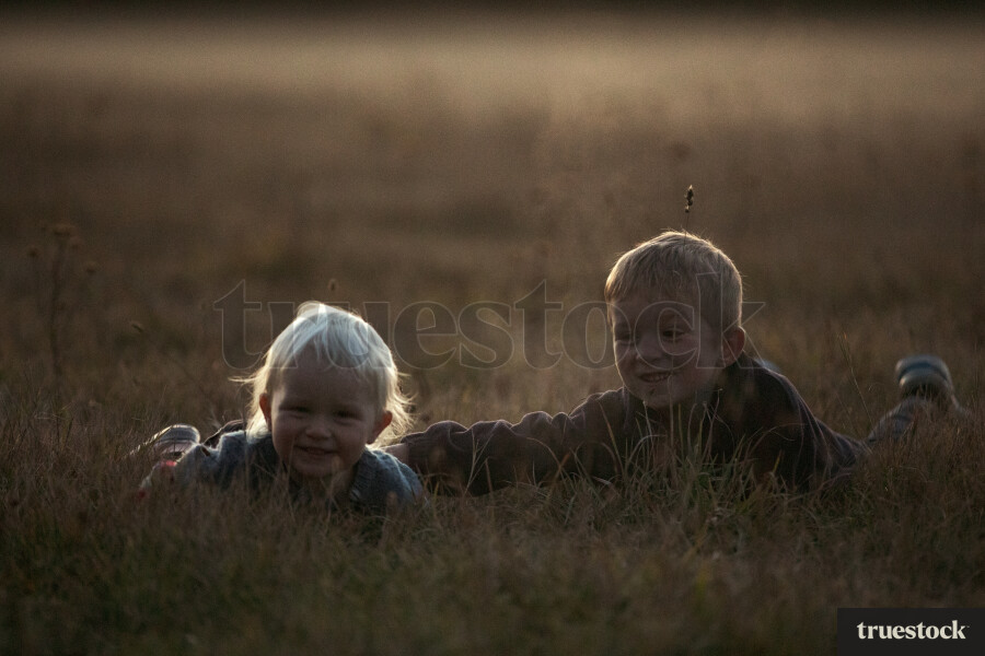 Kids playing on the field on a misty morning with fog