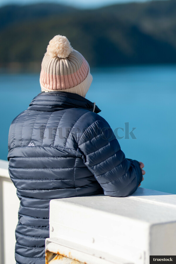 Cook Straight Landscape and Ocean