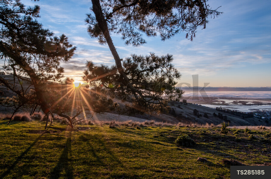 Sunset on hill at Godley Head, Canterbury