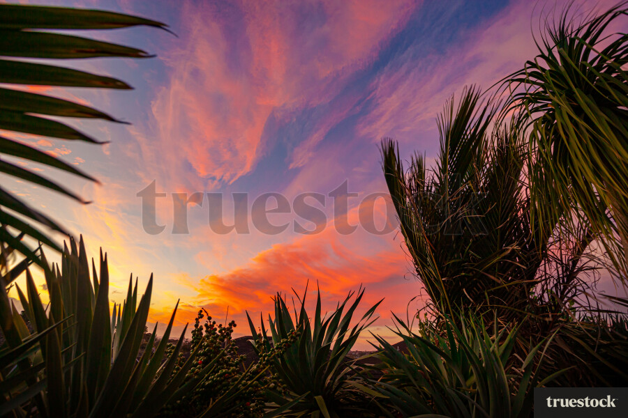 Orange and pink sunset in a suburban area