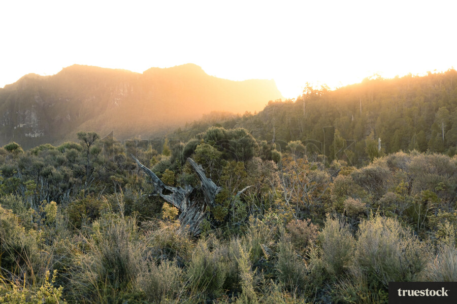 Sunrise on the Pinnacles Walk Coromandel
