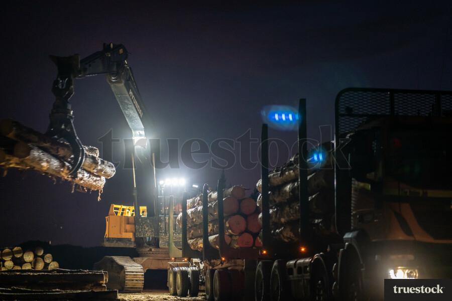 Loading Logs onto Truck
