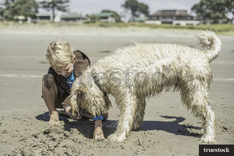 Young Boy Playing with Dog at Beach