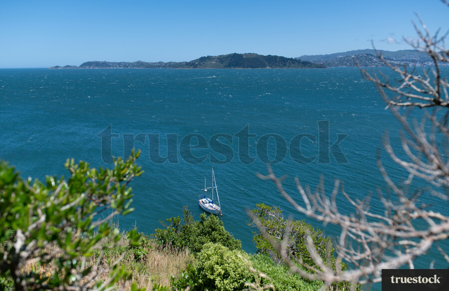 Scenic view from cliff top in Wellington