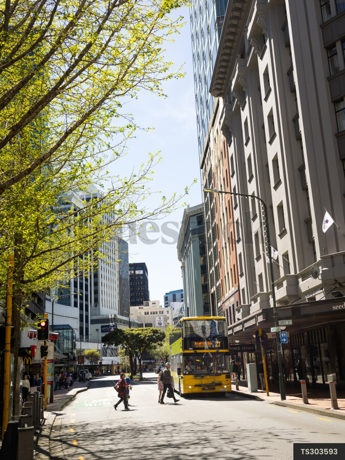 public-transport-in-wellington-by-danny-rood-truestock